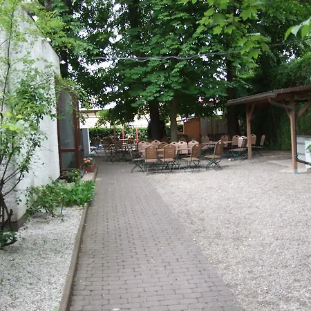 Gaestehaus Palmengarten-3